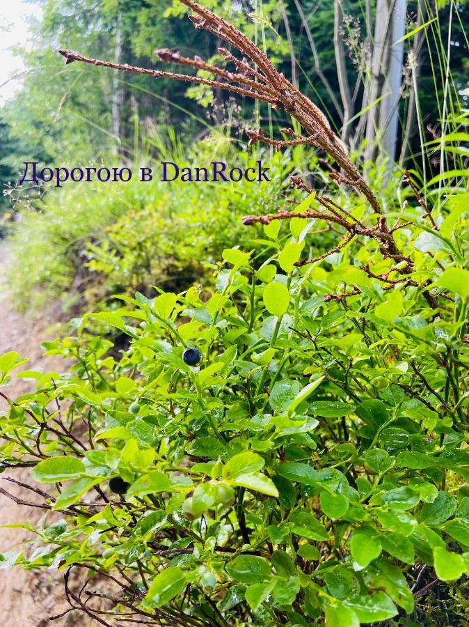 Danrock Yablunytsya Exterior foto
