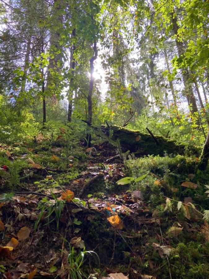 Danrock Yablunytsya Exterior foto